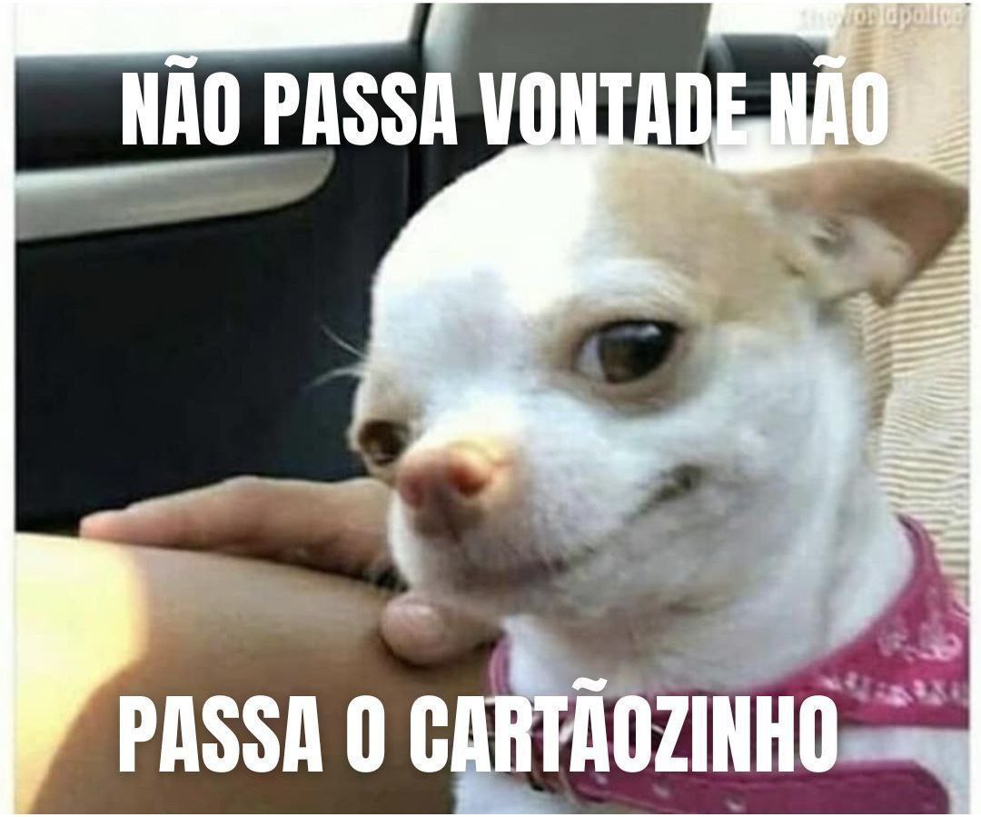 promosdelivro's tweet image. 🚨 Começou a #BlackFriday 
➡️ amzlink.to/az0kLois1aKAp

🚨 Veja se liberou para sua conta! 3 meses de Kindle Unlimited por R$1,99:
➡️ amzn.to/3QJrWsc

🚨 Kindles em Oferta:
➡️ amzlink.to/az004Plz9eHvh

🔥 3 meses de Amazon Music Unlimited GRÁTIS! 
➡️ amzn.to/4eiloKE…