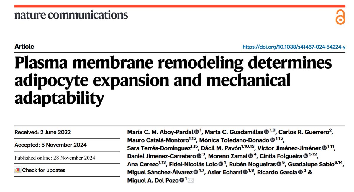 Want to know how #adipocytes “feel the force” to protect themselves and the organism from the stress of excess lipids? 
👉Check out or new paper in <a href="/NatureComms/">Nature Communications</a> in an effort led by <a href="/MariaAboyPardal/">María C M Aboy Pardal</a> <a href="/CaveoLab/">MechanoCaveoLab</a> <a href="/CNIC_CARDIO/">CNIC</a> &amp; with key collaborators
👇thread
rdcu.be/d1MAn