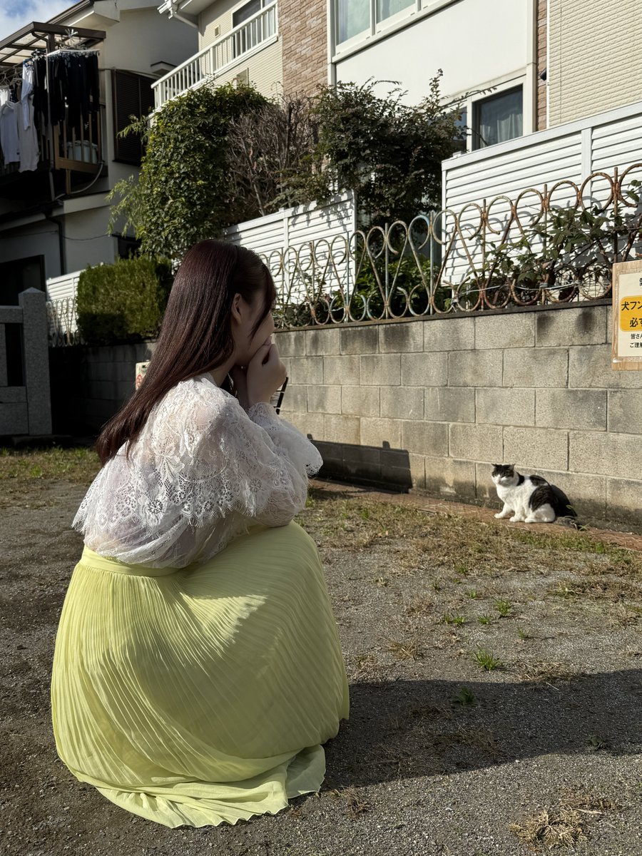 にゃーーーーーん！！！！ https://t.co/1IyuCPBCzV