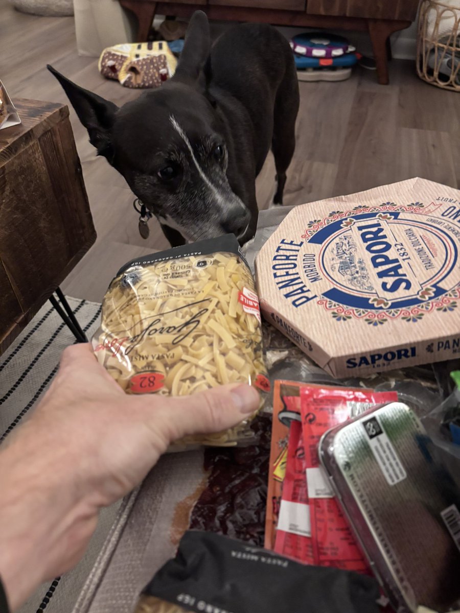 Joshbronson108's tweet photo. Made it through Customs yesterday coming back from Italy without an issue (thank you @DHSgov @CBP for such a smooth process and on Thanksgiving Eve no less!). However this morning my dog Jemma pulled us for a secondary screening. 😬 https://t.co/o4fDoWi4li