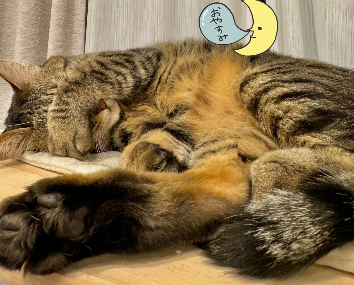 これは眠いはなすけさん 