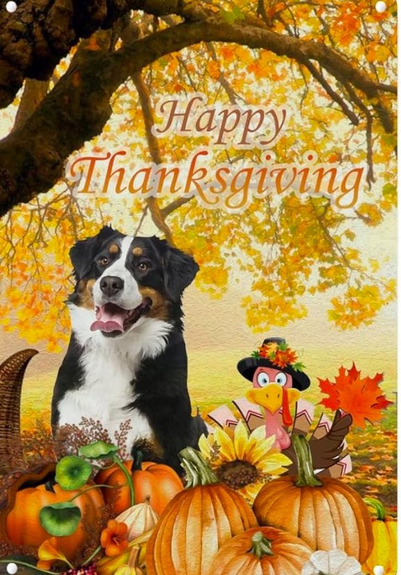 Rebecca Hicks tweet media