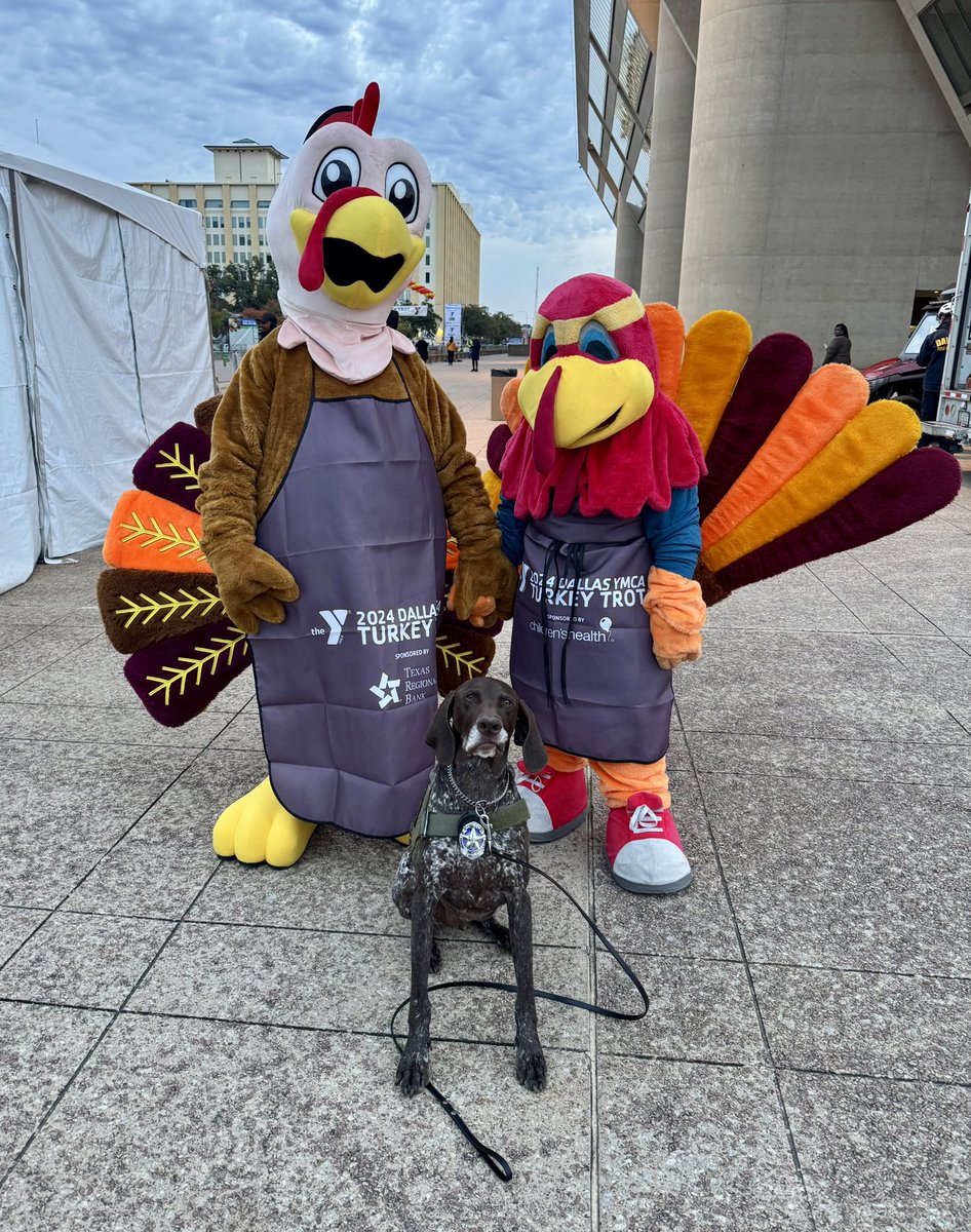 Happy Thanksgiving from the <a href="/ymca/">ymca</a> Dallas #turkeytrot 🦃
