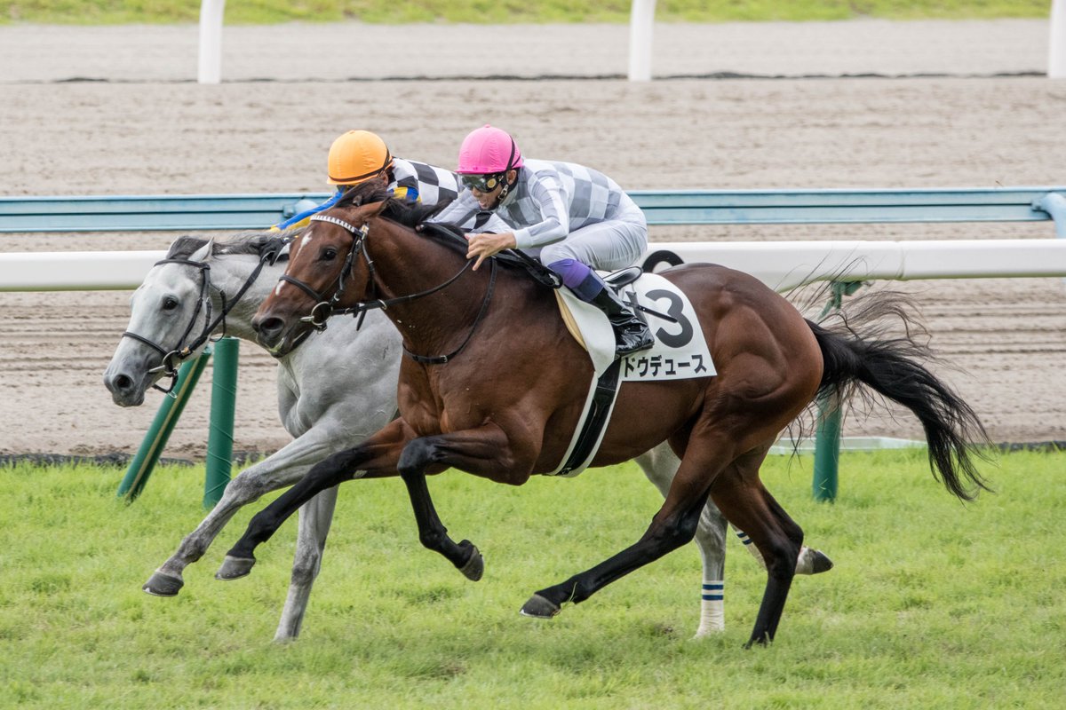 何度でも言わせてください ドウデュースとガイアフォースは新馬戦で
