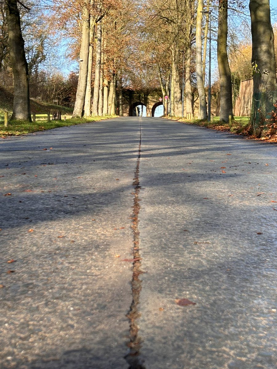 rob_televisie's tweet image. De oprijlaan van de citadel van #Diest heet voortaan de Kolonel Blondeellaan, naar de stichter van de paracommando’s. “Omdat laan nu officiële straat is, kunnen we ze aansluiten op lichtnet en hebben bedrijven die zich op citadel vestigen ook een adres”, klinkt het bij de stad.