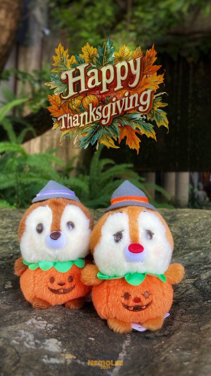 NemoLee0790's tweet photo. 🐿✨Wishing you a Happy Thanksgiving✨

🍁 #Thanksgiving2024
🍂 #うるぽちゃちゃん https://t.co/ePydenLSEM