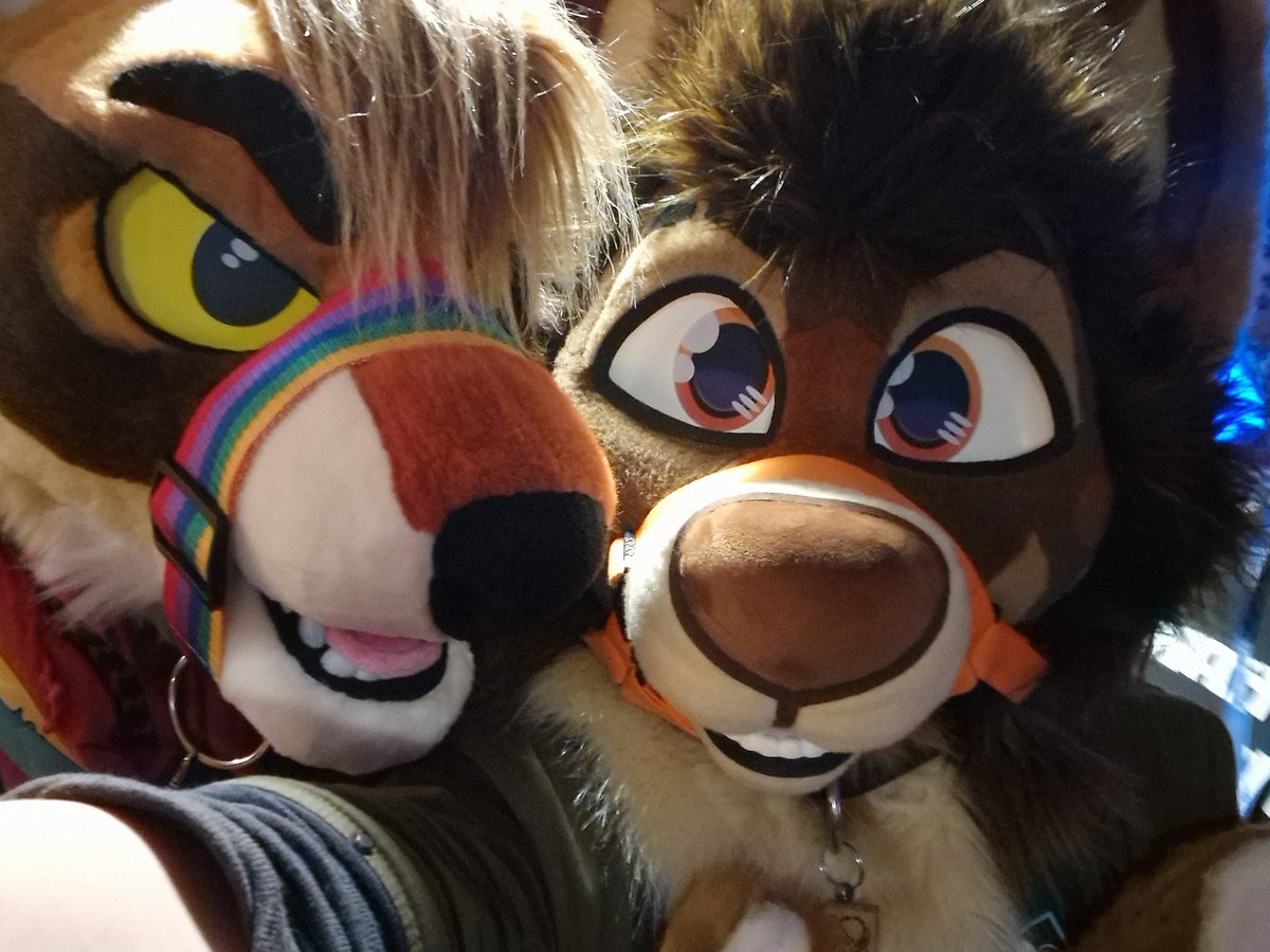 Atatatlas's tweet photo. Furc selfies #2  🤙

@ThePocketyFox, Kafes &amp; @CerriFox 
@GaleTheAlpaca 
@Secret_Wolfe https://t.co/6IEDhzGR8Z