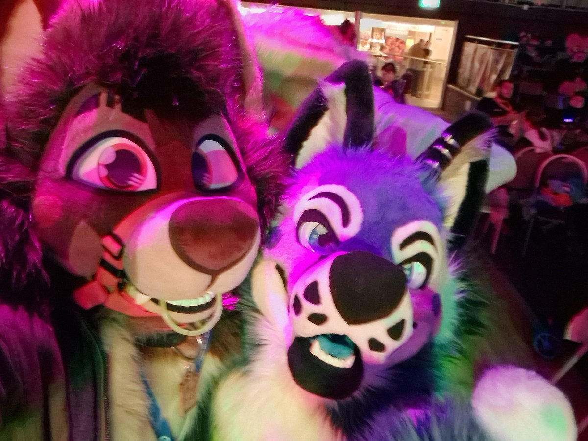Atatatlas's tweet photo. Furc selfies #2  🤙

@ThePocketyFox, Kafes &amp; @CerriFox 
@GaleTheAlpaca 
@Secret_Wolfe https://t.co/6IEDhzGR8Z