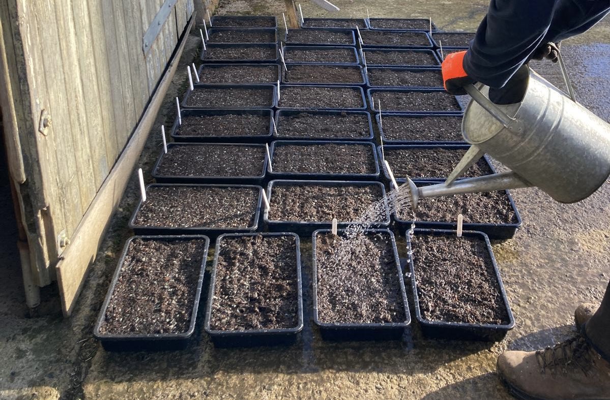 Howardian Hills National Landscape (@howardian_hills) on Twitter photo A cold, sunny and productive day for our volunteers spent planting local seed, potting on seedlings, building cold frames to shelter the plants and making bird boxes. Hot chocolate provided 😉 Interested in joining in? Email us at info@howardianhills.org.uk A cold, sunny and productive day for our volunteers spent planting local seed, potting on seedlings, building cold frames to shelter the plants and making bird boxes. Hot chocolate provided 😉 Interested in joining in? Email us at info@howardianhills.org.uk