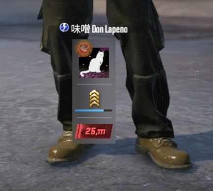 Kai "Don Lapeno" Liebe tweet media