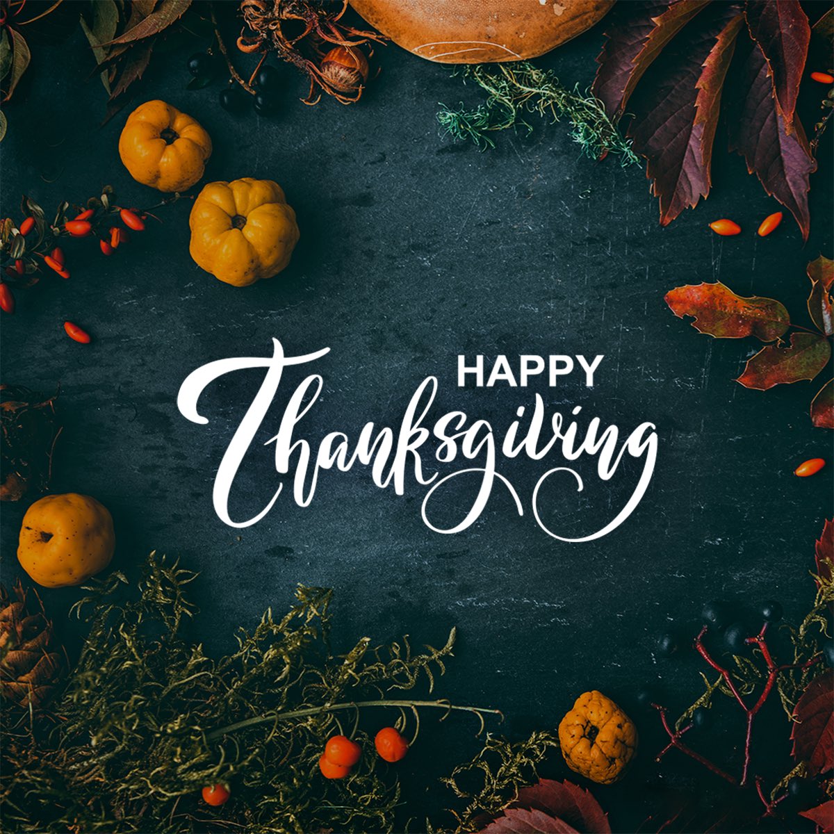 SenBobCasey's tweet image. Wishing everyone in Pennsylvania and around the Nation a happy Thanksgiving. Today I am thinking of all the men and women who are away from their families serving our Nation.