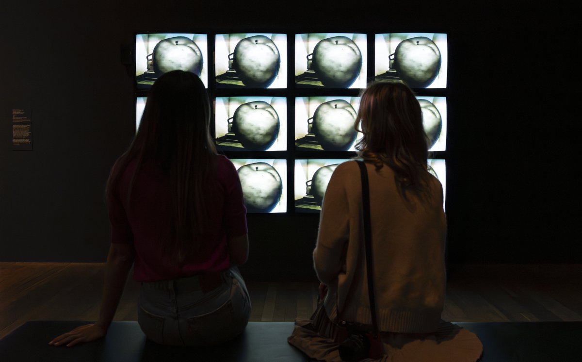 Tate Collective tweet media