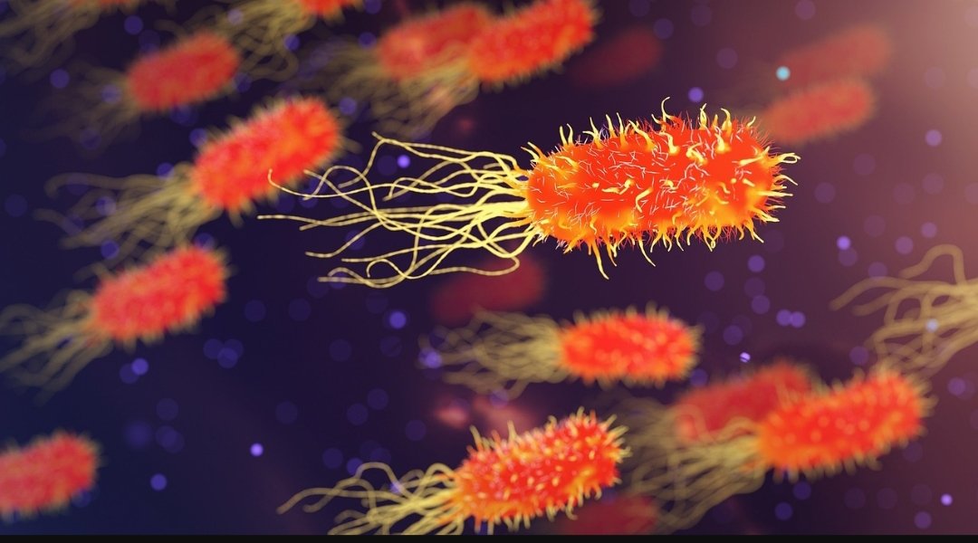 Vacunas microbianas frente al cambio climático investigacion.us.es/noticias/insti…