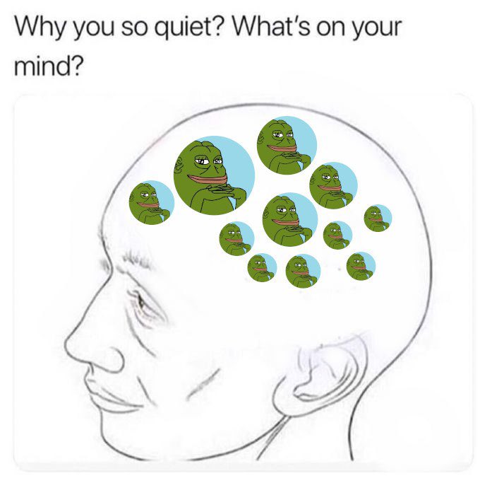 CreechCrypto's tweet photo. @MemeRadarTK how could you forget about the biggest meme frog collection out there? #Groyper @GroyperEthereum https://t.co/Vxrys44pRa