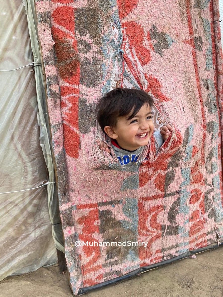 Almoshafthreads's tweet image. تمزَّقت الخيمة، فـ طلَّ منها قمر ❤️