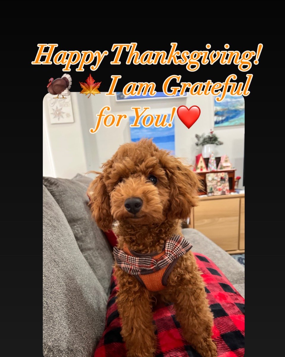 jenwallens's tweet photo. https://t.co/4Klow6izRV https://t.co/gZjFgOXyvl