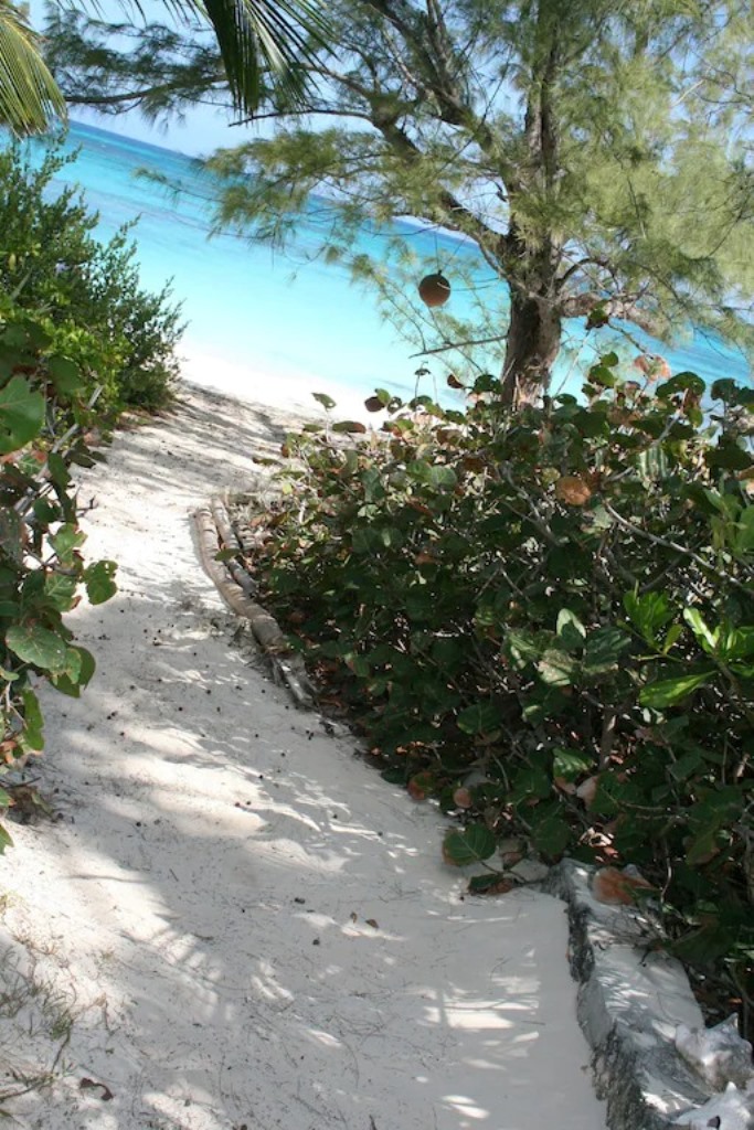 TropicalImpulse's tweet photo. Escape to paradise with a beach house in Eleuthera, Bahamas! Book your stay at Tropical Impulse for a perfect island retreat. https://t.co/C93cpq7eLM
#TropicalImpulse #Eleuthera #BeachHouse #BahamasVacation https://t.co/CeosgJIF42