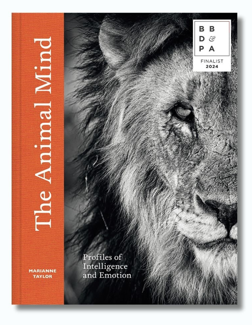 UniPressBooks's tweet photo. We're thrilled that Marianne Taylor's THE ANIMAL MIND, designed by us and published by
@abramsbooks, has made the shortlist in the Trade Illustrated category of the British Book Design and Production Awards (@bbdpawards)! https://t.co/M0A4otdE1l