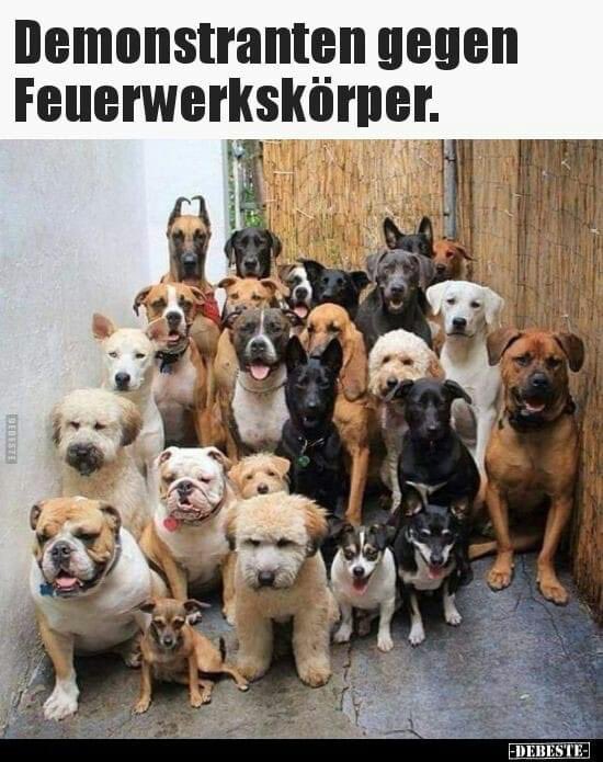 Armin Rohde (@arminrohde) on Twitter photo 