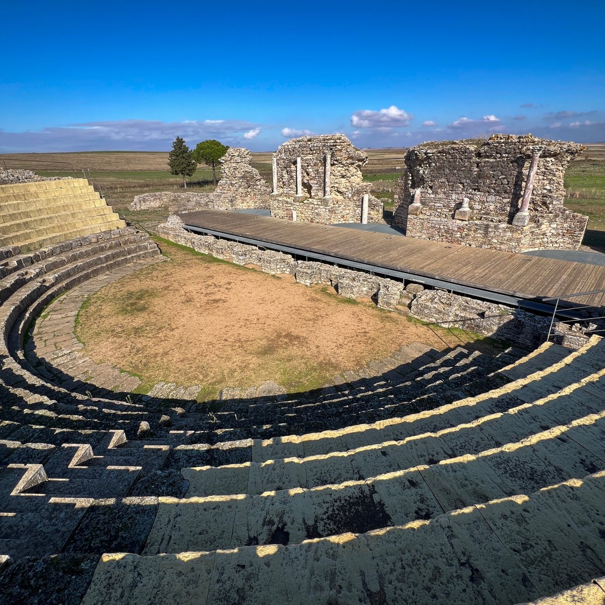 Pipper on tour tweet media