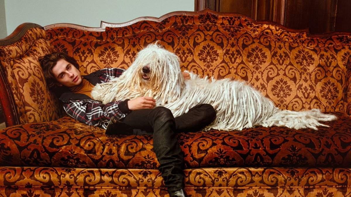 Timothée Chalamet - "Animals remind us of a simpler, kinder way to exist, and we owe them the same kindness in return"