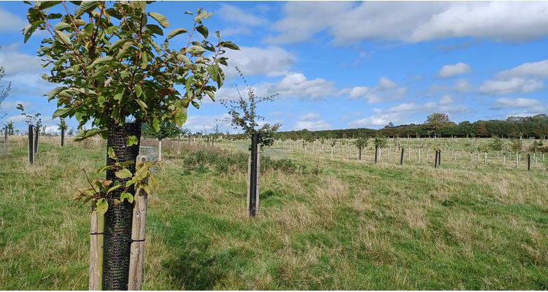 ‘Sudden’ closure of many capital grant applications creates confusion and frustration

As of 27 November, many of Defra's capital grants are currently closed for new applications, a move which the NFU has branded “a real blow” to members.

More 👉nfuonline.com/updates-and-in…