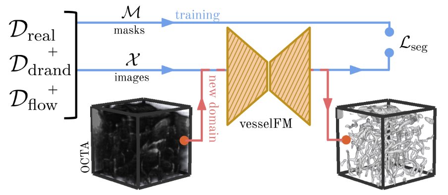 Thrilled to share our latest preprint: 
vesselFM – a foundation model for universal 3D blood vessel segmentation! 🚀✨ 
(arxiv.org/abs/2411.17386)