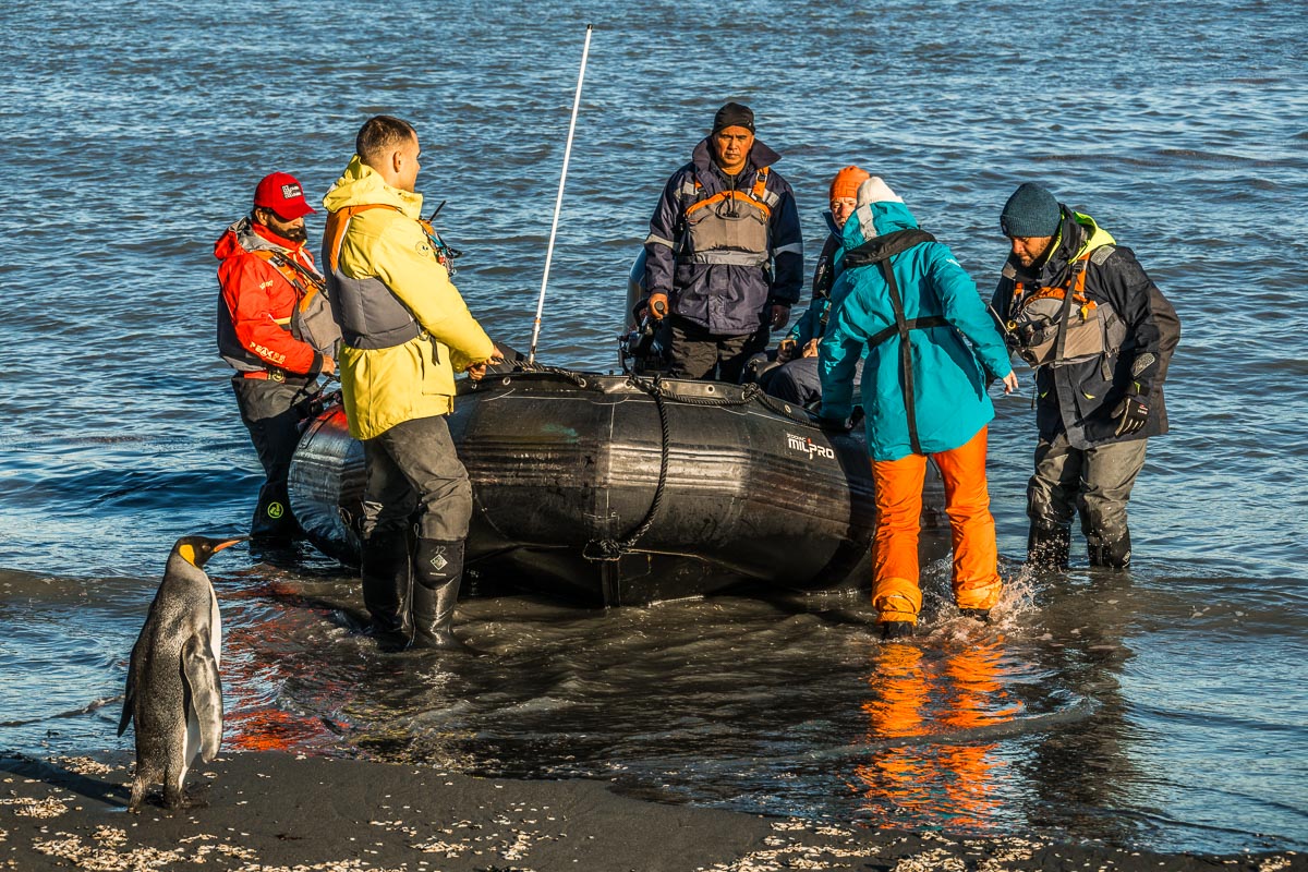 "On behalf of the King Penguin Colony here at St Andrews Bay on South Georgia I would like to welcome all passengers and crew off the <a href="/swanhellenic/">Swan Hellenic</a> ship Diana to our island" <a href="/TravWriters/">BGTW</a>
