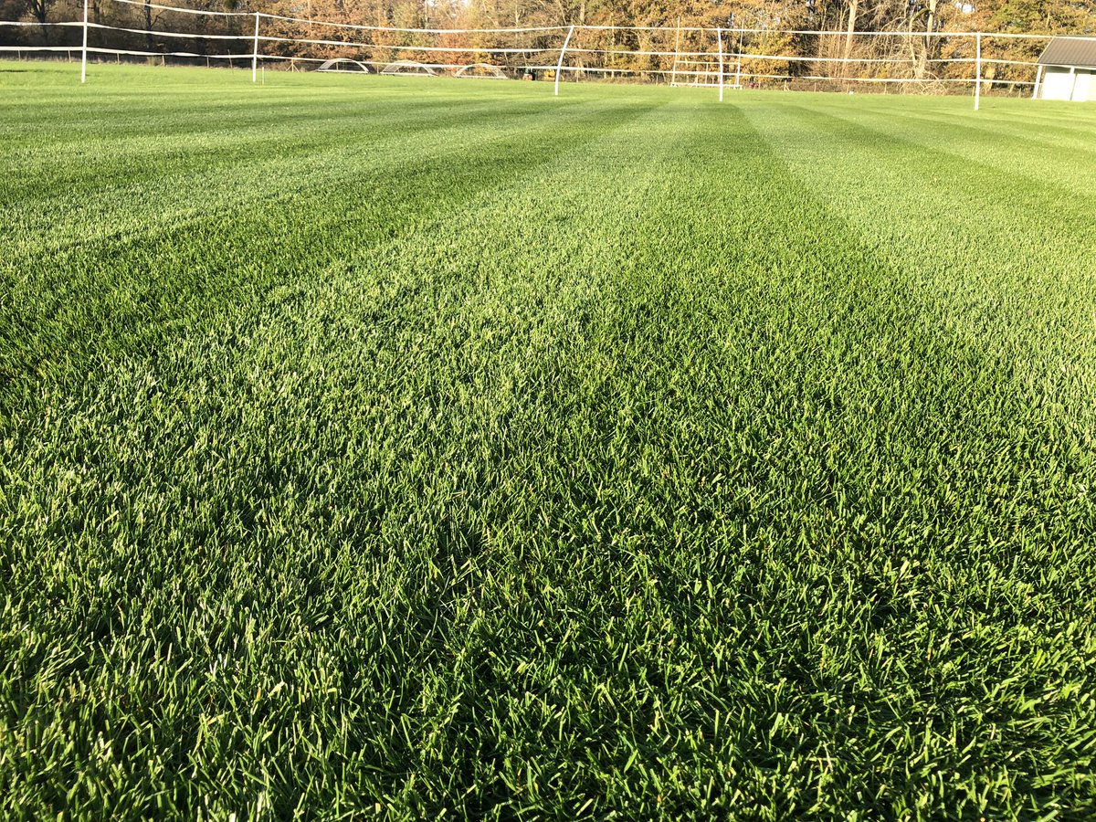 Mellis cricket club tweet media