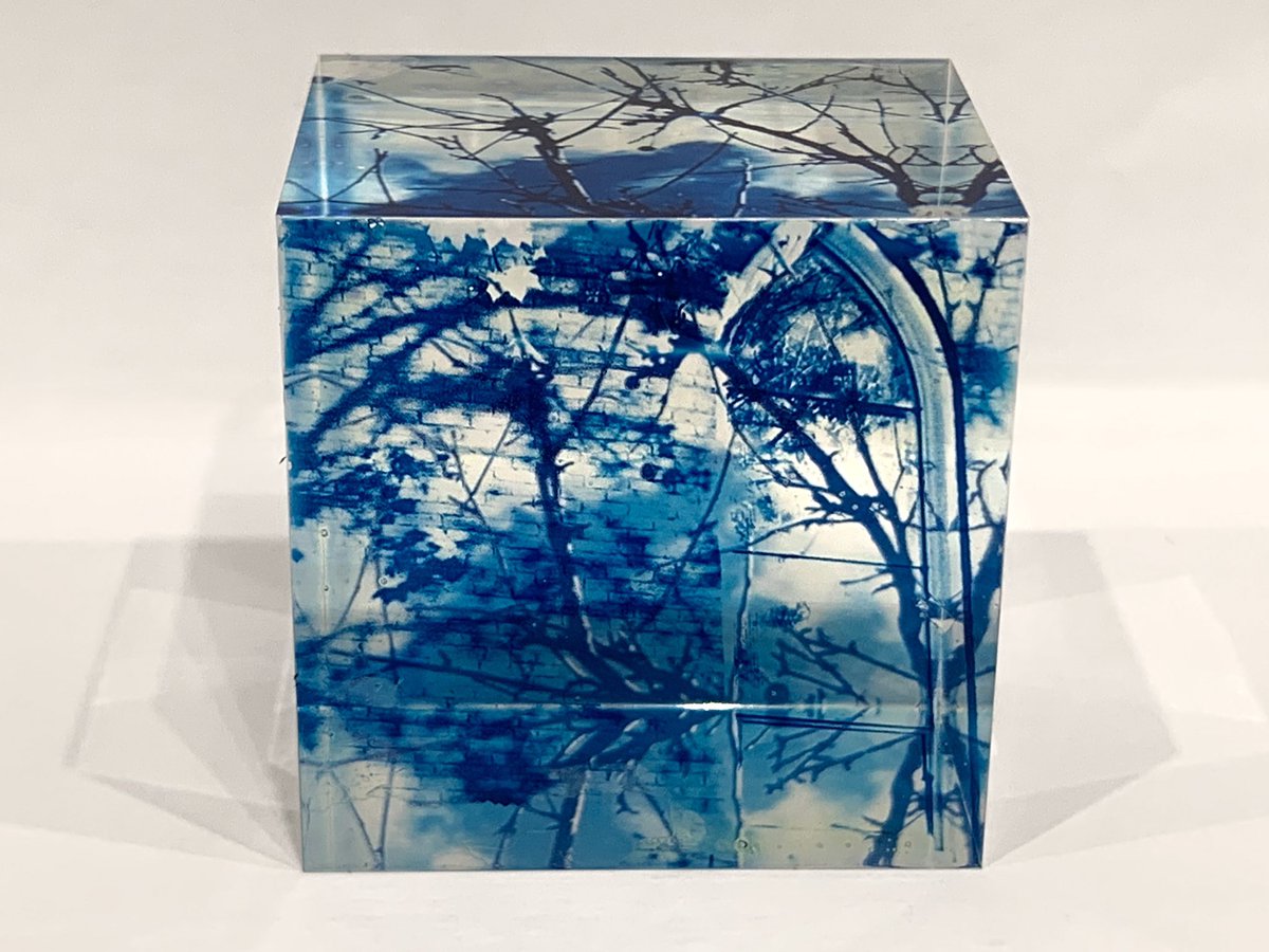 deletedimage's tweet image. Cyanotype done on a prism