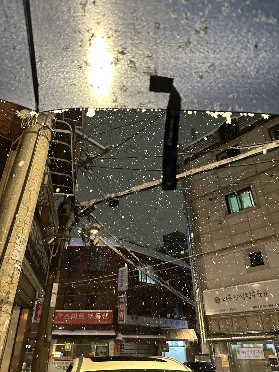 츄냥 tweet media