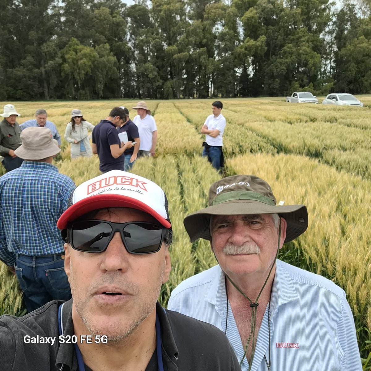 Buck Semillas tweet media