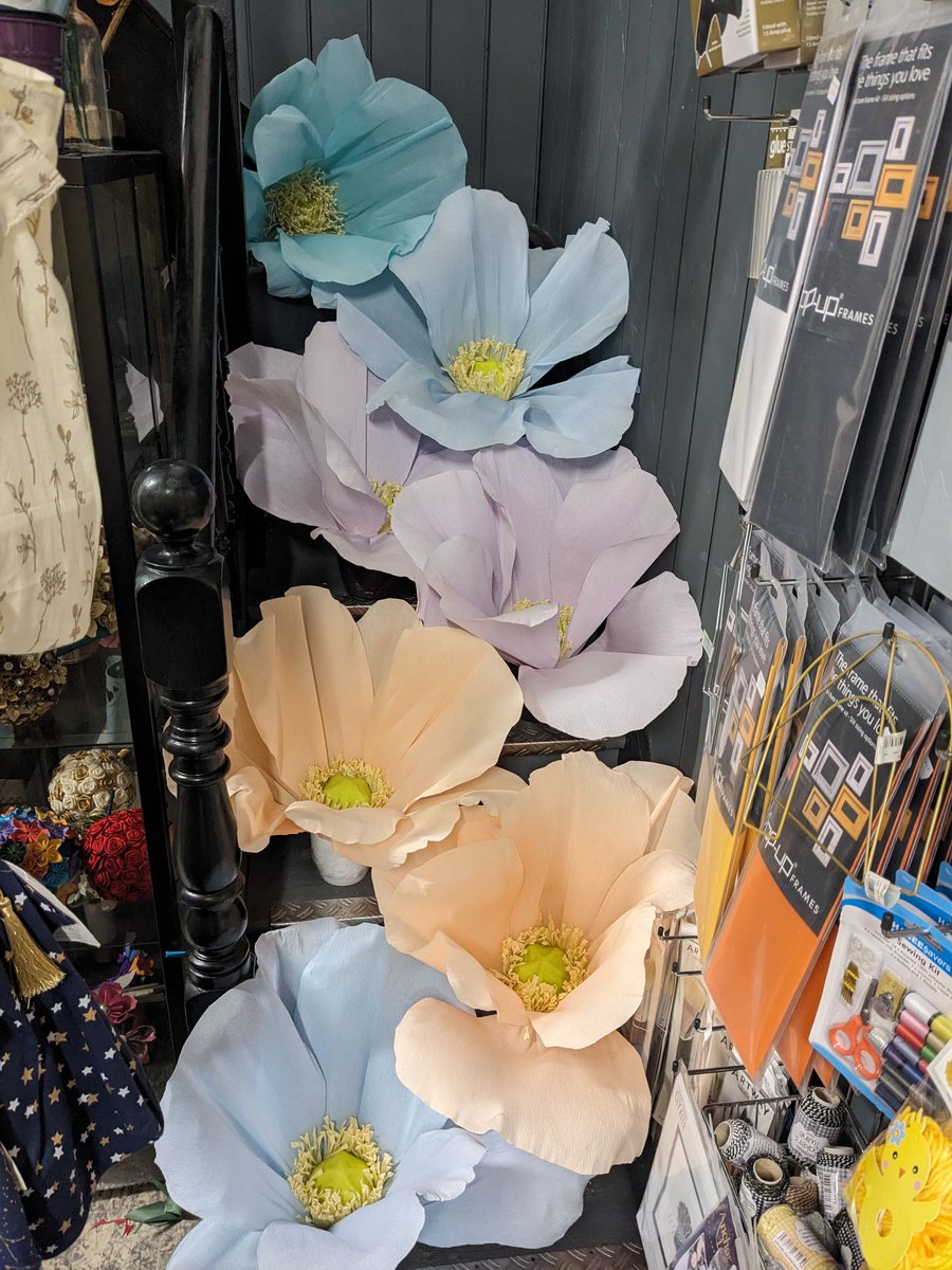 ArloArts (@arloarts) on Twitter photo Sitting in my shop making paper flowers and 'Paper flowers ' by <a href="/Hushtonesmusic/">Hushtones</a> gets played on <a href="/BBC6Music/">BBC Radio 6 Music</a> <a href="/CCfunkandsoul/">Craig Charles</a>
Brilliant inspiration for creating more paper blooms!
#paperflowers #paperflorist #madefrompaper Sitting in my shop making paper flowers and 'Paper flowers ' by <a href="/Hushtonesmusic/">Hushtones</a> gets played on <a href="/BBC6Music/">BBC Radio 6 Music</a> <a href="/CCfunkandsoul/">Craig Charles</a>
Brilliant inspiration for creating more paper blooms!
#paperflowers #paperflorist #madefrompaper