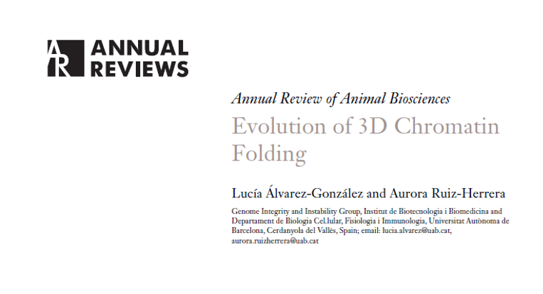 Aurora Ruiz-Herrera (@a_ruizherrera) on Twitter photo 📌New paper from the lab!
<a href="/L_AlvarezGlez/">Lucía Álvarez González</a>
👇
Evolution of 3D Chromatin Folding | Annual Reviews - go.shr.lc/3B60kZF 📌New paper from the lab!
<a href="/L_AlvarezGlez/">Lucía Álvarez González</a>
👇
Evolution of 3D Chromatin Folding | Annual Reviews - go.shr.lc/3B60kZF