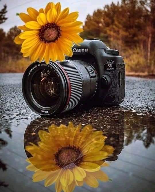 “Acredito que tudo acontece por uma razão.
As pessoas mudam para 
que você aprenda a deixar ir.
As coisas dão errado para que 
você valorize quando estão certas.
E, às vezes, coisas boas desmoronam 
para que coisas melhores possam surgir.”
#CarpeDiem