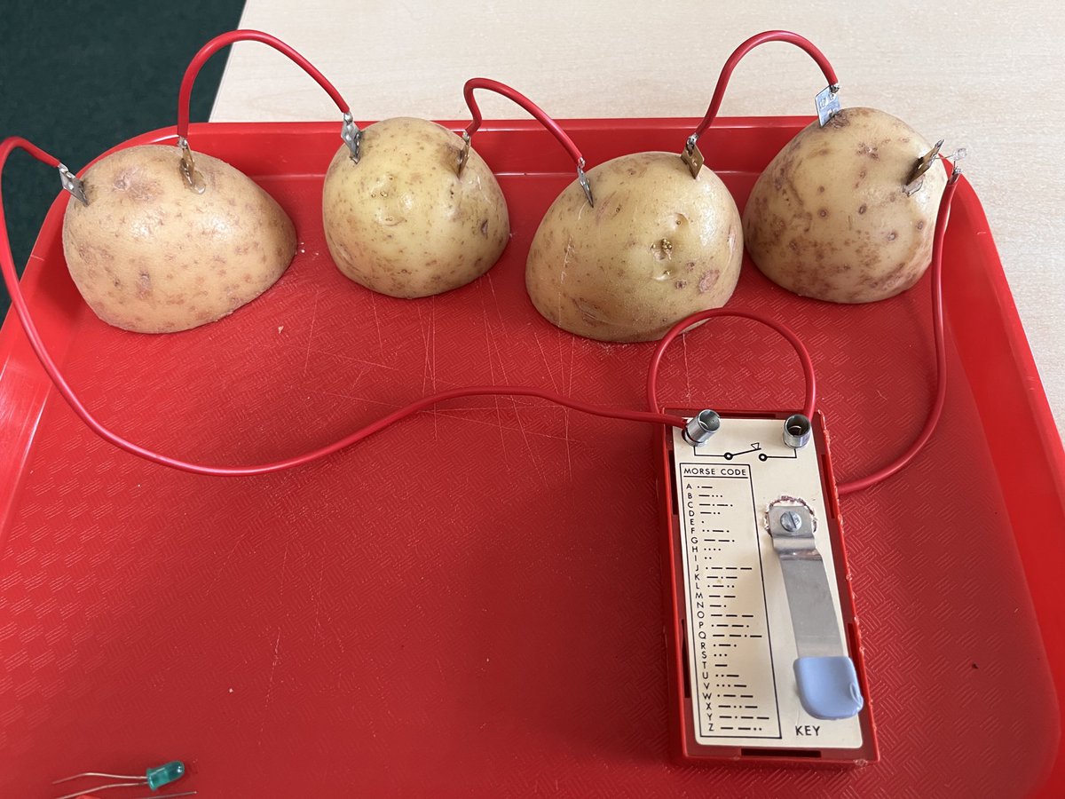 In our science lesson today, we are investigating whether or not it is possible to light a bulb…with a potato💡🥔