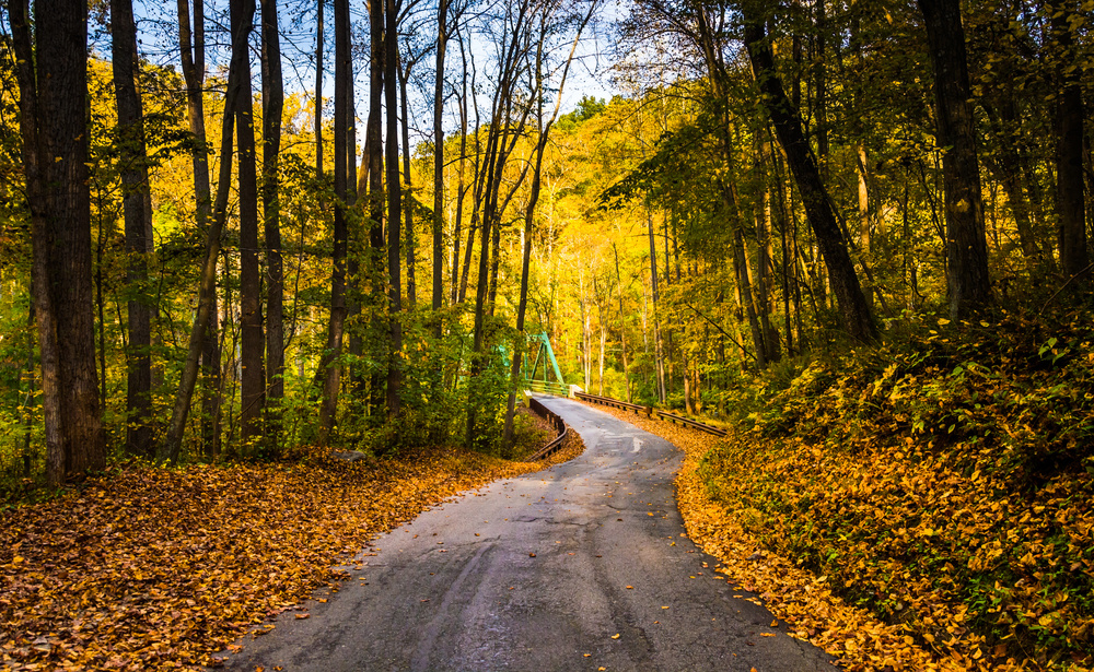 As we gather to give thanks this year, we're grateful for the trust our customers place in us to protect their most valuable data assets. From the whole ShardSecure team, have a wonderful and secure Thanksgiving holiday! 

#Thanksgiving #datasecurity #dataprivacy #dataresilience