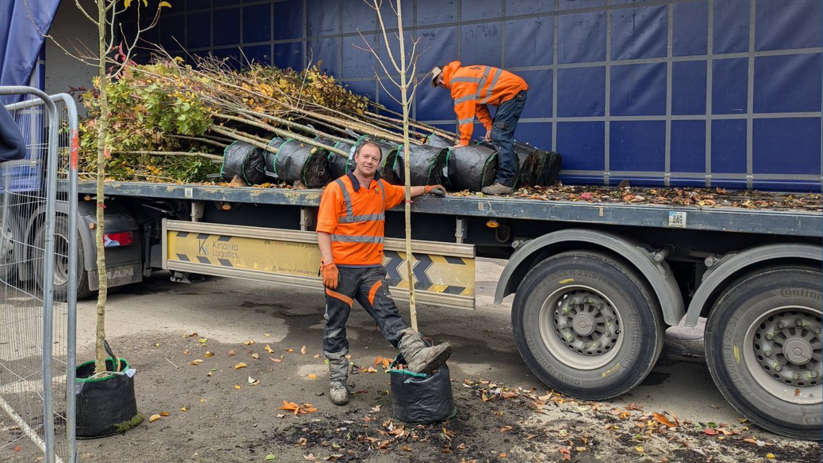 Want a free tree for your garden? We’re giving away 1,000 trees to local residents, schools, and community groups!

Reserve yours today and help us grow a greener, more sustainable borough 🌳

Reserve your free tree and complete our new Tree Survey here ➡️ orlo.uk/WAVPC