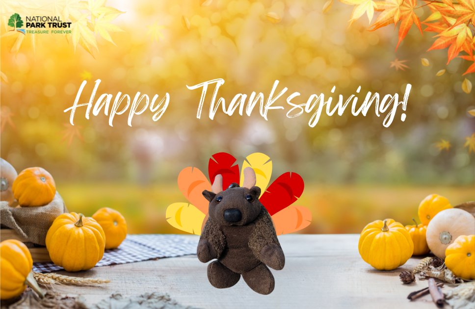 NatParkTrust's tweet photo. Happy Thanksgiving from #BuddyBison and our Park Trust family! 🦃 https://t.co/h7bYMpcyLq