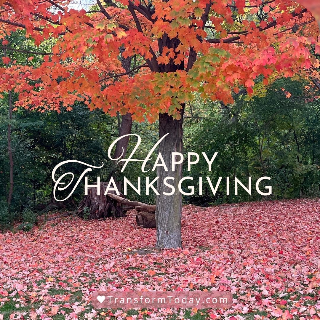 LauraRubinstein's tweet image. #Grateful for family, community &amp;amp; entrepreneurs who inspire me daily!

🧡 Join the FREE Thanksgiving Feast of Education Giveaway! 🎉  Nov 18-Dec 1 transformtoday.com/foeoptin

It's a virtual buffet overflowing with courses, tools, &amp;amp; resources to help you succeed in 2025 and beyond