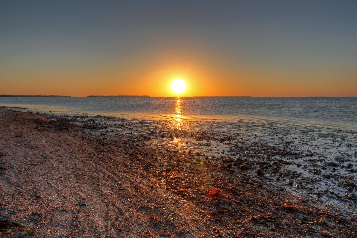 At Everglades National Park, we want to take a moment to express heartfelt appreciation for the incredible support we receive from the community, park staff, partners, and friends. Here are 24 things the NPS is grateful for in 2024: 
nps.gov/articles/000/e…
NPS Photo by G.Gardner