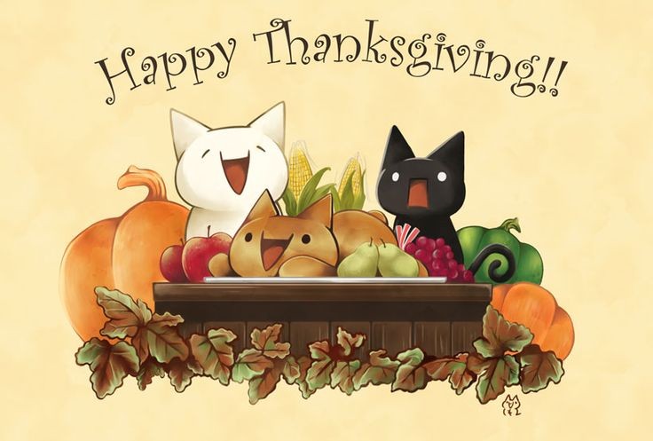 monacatcoin's tweet photo. Happy Thanksgiving from $MONA!

Today, Giko and me will eat Moralar 😋
(⌒⌒⌒)　　　♡
 |＿i＿i_|　♡（　）
 ( ´∀｀）　)ノ♡
/　　ｏ⊂|￣￣￣|⊃
しー-Ｊ    |＿＿＿|  〜♡ https://t.co/a0D1hBYVu9