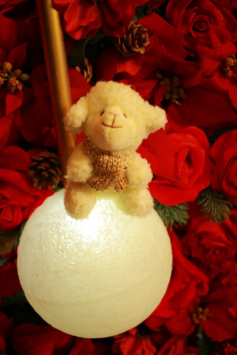 noritabi317's tweet photo. 挙式を挙げた人限定で開催していただいたブレストンコートでクリスマス先取りしてきました✨
羊のぬいちゃん衝動買いです（笑）
楽しかったー🩵
#ブレストンコート　#軽井沢 
#星降る森のクリスマス 
#クリスマスツリー 
#おかえりなさいDAY https://t.co/74krR1KzJF