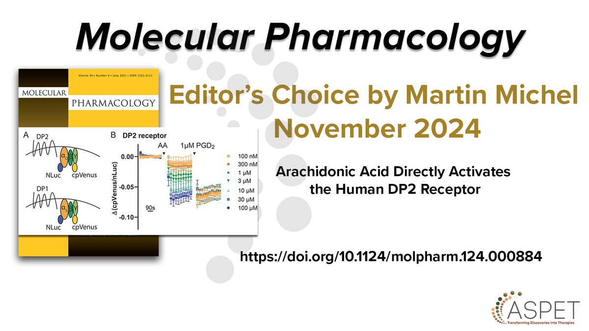 Prostaglandin DP2 receptors are involved in type 2 inflammation occurring in many allergic conditions. Researchers from Marburg show that the prostaglandin precursor arachidonic acid can directly activate DP2 but not DP1 receptors. Read more here: ow.ly/ocez50UgVwq