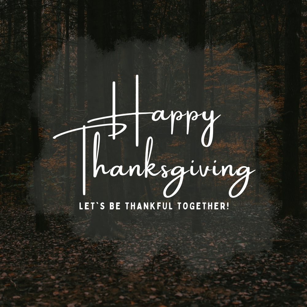 On Thanksgiving, we remember our model of gratitude, Mary, who never ceased in praising the Lord. "My soul magnifies the Lord,
and my spirit rejoices in God my Savior..."