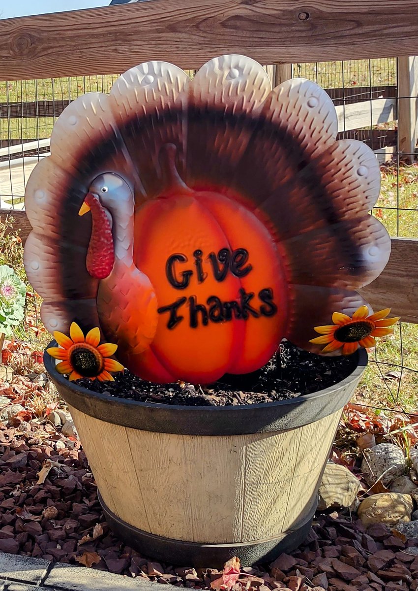 BMAH121's tweet image. Wishing you all a safe and happy Thanksgiving! bmvet.com #BMAH #veterinarians #FearFreeProfessionals #pets #PetHealth #Thanksgiving