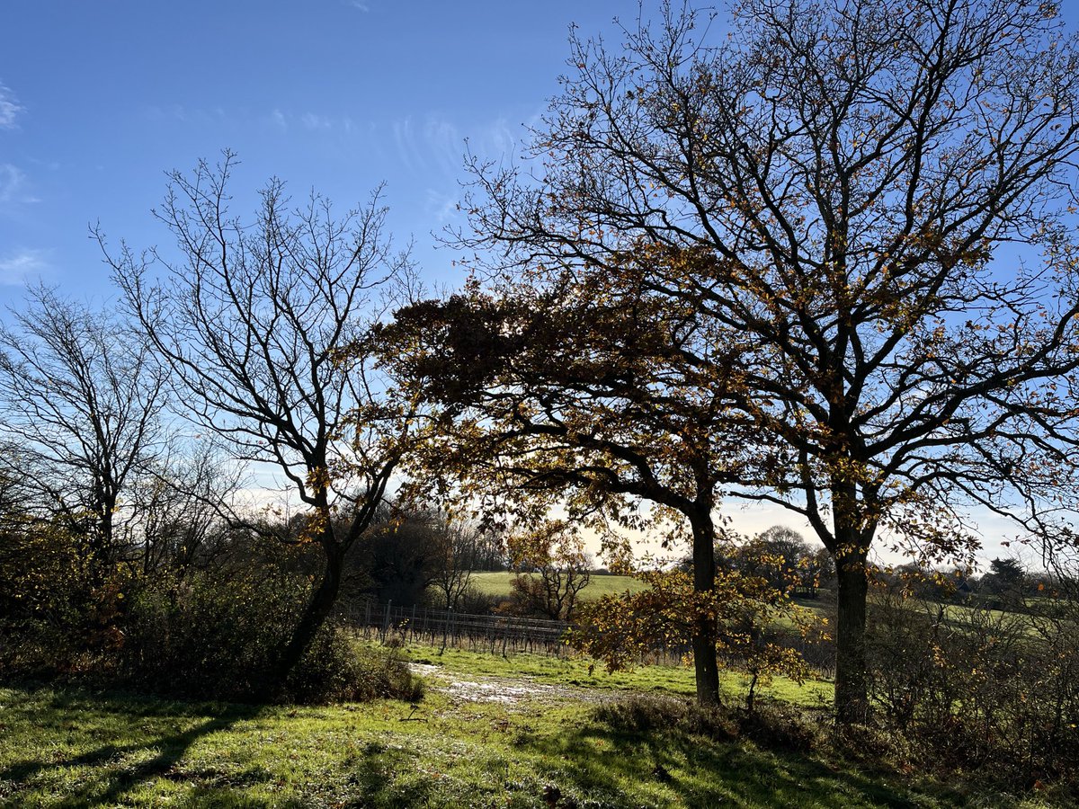 OffTheLine tweet media