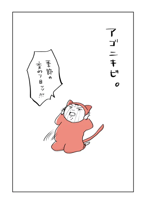 寝る前のどうでもいい報告 