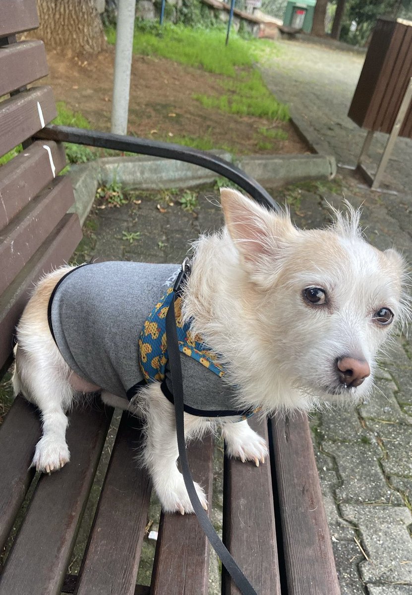 yamına oturmak icm izim aldım nı?