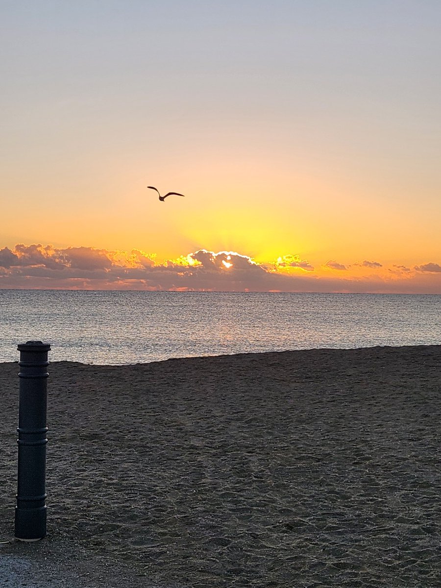 MichZ8848's tweet photo. @realDonaldTrump Love you @realDonaldTrump ...have a happy and healthy Thanksgiving..from fort pierce 💜🙏✨️ https://t.co/PyhhhJgyMU